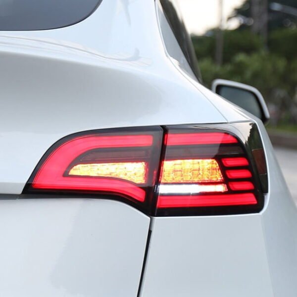 Model 3/Y LED Sequential Eagle Eye Tail Lights