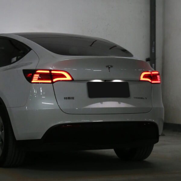 Model 3/Y LED Sequential Eagle Eye Tail Lights