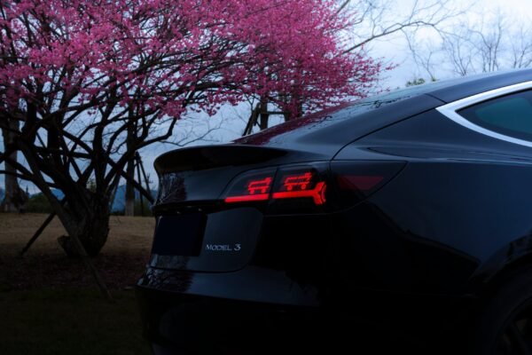 Tesla Model 3/Y  LED APP-controlled DIY Dynamic Letter Tail lights