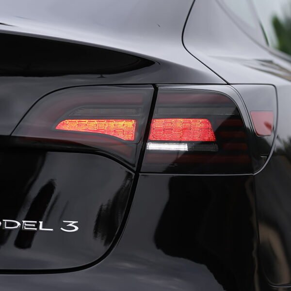 Model 3/Y LED Sequential Eagle Eye Tail Lights