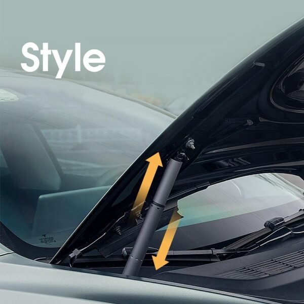 Model S Power Frunk