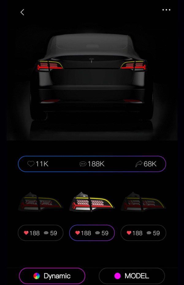 Tesla Model 3/Y  LED APP-controlled DIY Dynamic Letter Tail lights