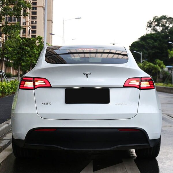 Model 3/Y LED Sequential Eagle Eye Tail Lights